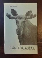 F&aring;ngstgropar: J&auml;mtlands vanligaste fornl&auml;mningar