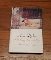 Ett f&auml;ngelse s&aring; stort: Roman