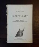 Handledning i hofbeslaget