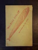 N&aring;gra blad om hvaldjur i allm&auml;nhet och Bal&aelig;noptera Carolin&aelig; i synnerhet