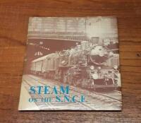 Steam on the S.N.C.F.