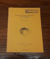 Silicified Silurian Bivalves from Gotland