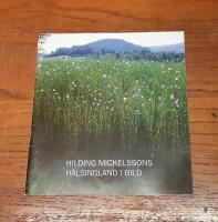 Hilding Mickelssons H&auml;lsingland i bild