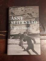 &Auml;ngeln i Groznyj: Ber&auml;ttelser fr&aring;n Tjetjenien