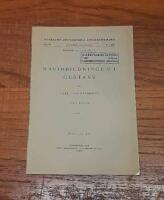 Ravinbildningen i Gustavs