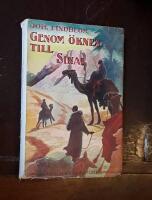 Genom &ouml;knen till Sinai