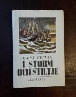 I storm och stiltje: Fiskareliv fr&aring;n Gotland p&aring; 1800-talet
