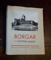 Borgar i v&auml;sterlandet: Ursprung och typutveckling under medeltiden