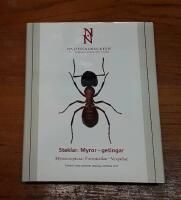 Steklar: Myror - getingar. Hymenoptera: Formicidae - vespidae