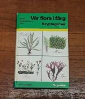 V&aring;r flora i f&auml;rg: Kryptogamer