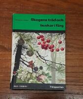 Skogens träd och buskar i färg
