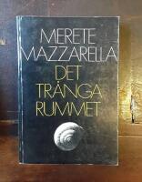 Det tr&aring;nga rummet: En finlandssvensk romantradition