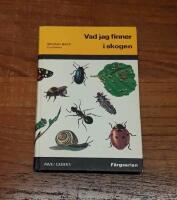 Vad jag finner i skogen