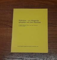 Kj&oslash;lvejen - en vikingetidsgravplads ved Over Hornb&aelig;k