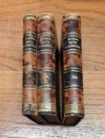 The Personal History, Adventures, Experience and Observation of David Copperfield the Younger of Blunderstone Rookery I-III