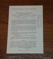 Gliederung unter-devonischer Schichten im Bereich des Rimmerts (Rheinisches Schiefergebirge, Bl. Kirchhundem und Olpe)