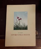 Uppl&auml;ndska bilder