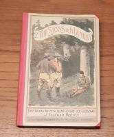 Till sj&ouml;ss och lands: John Brooks &auml;fventyr bland r&ouml;fvare och gulds&ouml;kare