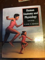 Human Anatomy and Physiology