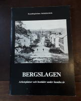 Bergslagen: Arbetsplatser och bost&auml;der under hundra &aring;r