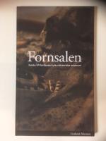 Fornsalen: Guide till Gotlands kulturhistoriska museum