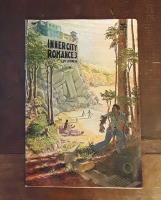 Inner City Romance 3