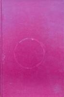 Biskops vederlike : minnen och reaktioner