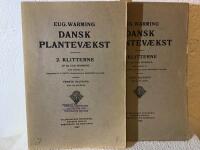 Dansk plantevækst 2 Klitterne