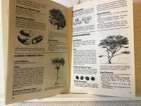A pocket directory of the Trees and Seeds in Kenya