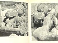 Love's Picture Book. The History of Pleasure and Moral Indignation