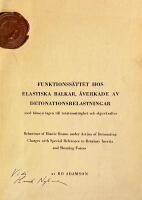Funktionss&auml;ttet hos elastiska balkar, &aring;verkade av detonationsbelastningar
