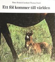 Ett f&ouml;l kommer till v&auml;rlden
