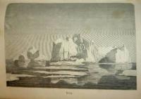 Uppt&auml;cktsresor i norra Polarhafvet