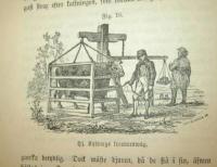 Landtbruks-Praktika andra delen: Husdjurssk&ouml;tselns hufvudgrunder