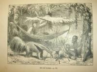 Rambles Among the Indians of the Rocky Mountains and the Andes. (Juvenile edition)