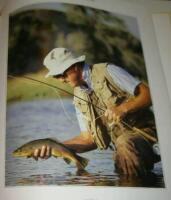 Flugfiskarens dr&ouml;mvatten