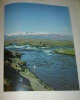 Flugfiskarens dr&ouml;mvatten