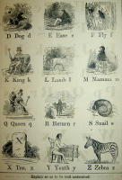 Noah Webster&acute;s British & American Spelling & Reading Book. For the use of Schools & Families