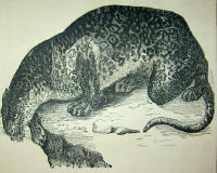 Noah Webster&acute;s British & American Spelling & Reading Book. For the use of Schools & Families