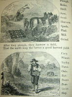 Noah Webster&acute;s British & American Spelling & Reading Book. For the use of Schools & Families