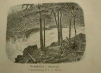 Svea. Folk-kalender f&ouml;r 1878. Tretiofjerde &aring;rg&aring;ngen