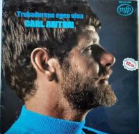 Trubadurens egen visa