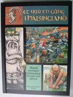 Det var en g&aring;ng i H&auml;lsingland - bland monster, prinsessor, r&ouml;vare och j&auml;ttar 