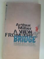 A view from the bridge  (play)