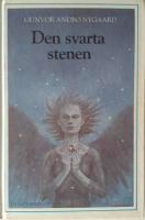 Den svarta stenen : ungdomsroman