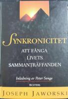 Synkronicitet: att f&aring;nga livets sammantr&auml;ffanden