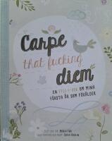 Carpe that fucking diem : en fyll-i-bok om mina f&ouml;rsta &aring;r som f&ouml;r&auml;lder