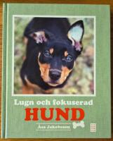 Lugn och fokuserad hund