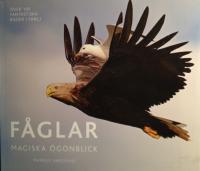 F&Aring;GLAR Magiska &ouml;gonblick