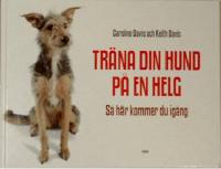 Tr&auml;na din hund p&aring; en helg